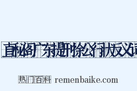 直秘阁广东提刑徐公行状反义词是什么意思的图片